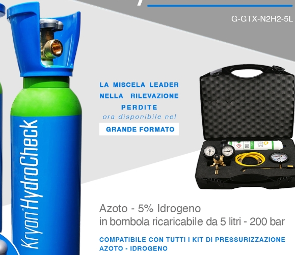 Bombola  azoto/Idrogeno 5% - 5 lt/1mc (scatolata )